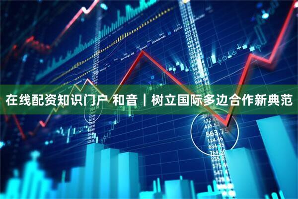 在线配资知识门户 和音｜树立国际多边合作新典范